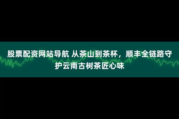 股票配资网站导航 从茶山到茶杯，顺丰全链路守护云南古树茶匠心味